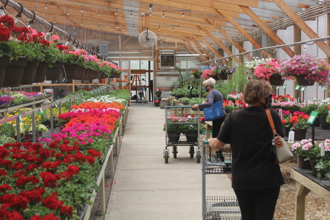 Greenwood Nursery celebrates 40 years News, Sports, Jobs Marshall